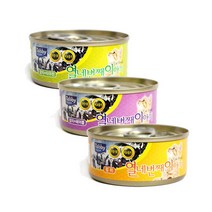 테비 열네번째이야기 고양이캔 60g x 24개, 종류선택:04. 혼합