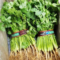 고수 1kg, 1kg(1개), 1개