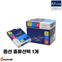 레이저 프린터용 A4 A3 복사 에이포 용지 100g 135g 160g 90g 미색 유광 백색 종류선택 1개, A3 레이져 전용지 120g 2000매