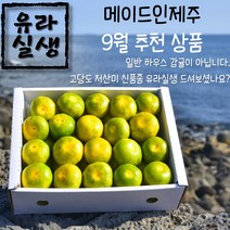 (예약중) 23년 고당도 저산미 하우스 유라실생 3kg 5kg, 1개, 선물용 5kg