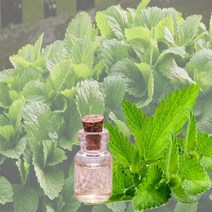 나스카코리아 오가닉 멜리사 에센셜오일 10ml 100ml 1L 비누만들기재료 DIY재료