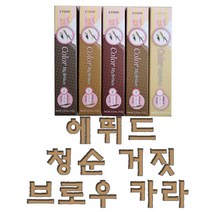 에뛰드 청순 거짓 브라우 카라