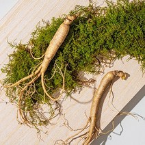 강원도 횡성 10년근 S급 산양삼 산삼 장뇌삼, 2뿌리, 2개