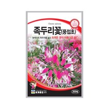 모칸도 (무배)세계 족두리꽃(풍접초) 꽃씨 200립