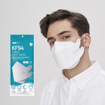 라이블리 KF94마스크 대형 5매입 120매, 5매입 * 120매, 화이트