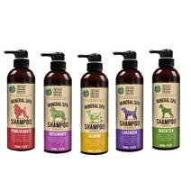 랠리큐 강아지 천연 약용샴푸 5종 500ml, 라벤더 500ml