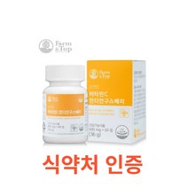 팜엔탑 비타민C 인디안구스베리 60정 피로회복 유기농 온가족 영양제 식물성 항산화 영양소 섭취 임산부 활력 신의 열매 성장기 청소년 수업생 직장인 온가족 비타민c, 60캡슐X11개