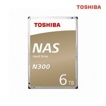 도시바 N300 NAS HDWN160 6TB
