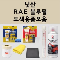 닛산 RAE 블루펄 주문 펄 (2개세트) 자동차 붓펜 카페인트 도색 스프레이 퍼티 컴파운드 차량용, 닛산:종이사포 1200방
