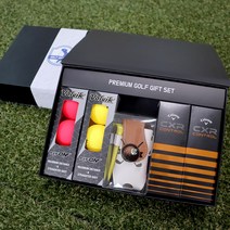 [주문제작]골프공 각인 프리미엄 골프용품 선물세트 부모님 친구 모임 SM-15, 14.카지노러브