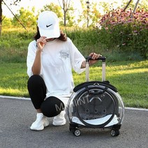 고양이 캐리어 이동장 산책 이동 가방 여행 외출 투명 캡슐, 투명 블랙