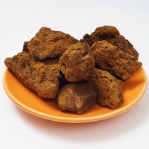 차가버섯100g 국산상황버섯 상황버섯분 내몸에 좋은차 차가버섯 버섯차