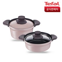 테팔 트레져 IH 인덕션 냄비세트 2종, 혼합 색상, 전골 냄비 24cm + 찌개 20cm