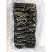 초특가 1.45kg 민물가재+마라소스200g (마라룽샤 범죄도시 마라롱샤 만들기 키트), 1.45kg민물가재25/32미+마라소스200g