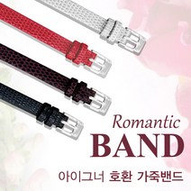아이그너 가죽밴드 [교체공구] / A29226 A29340 A29238 A29240 A32251 A32255A 호환 시계줄
