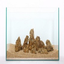 웰컴펫 황호석 랜덤 1kg, 1개