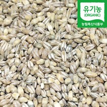 국산 유기농 늘보리 1kg 꽁보리 쌀