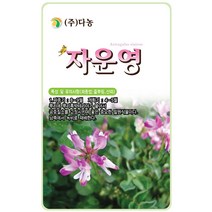 딱지꽃 1.5g - 야생화 씨앗 꽃씨 씨 꽃씨앗 딱지꽃씨앗 딱지꽃씨 다년생꽃씨 여러해살이 야생화씨 야생화씨앗 꽃 위릉채 동녹풀, 33_다농_자운영(2g)