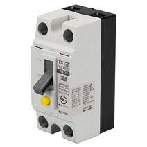 태성 산업용 누전차단기 스위치 TBE-32D 2P 2.5KA 30AF 20A, 일반형