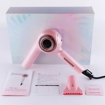 레트로 헤어 드라이어 1600W 고속 음이온 브러시리스 전문 냉온풍 경량 저소음 방사선 없는 송풍기, 01 분홍색_01 미국