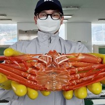 [산지직송] 대흥수산 품질보장 정품 박달 홍게, 박달홍게 대 5마리(생물)