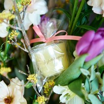 라피릿가든 6개세트 침향과 밀랍 대용량 티라이트 pc, 6개, 침향향과 천연밀랍향