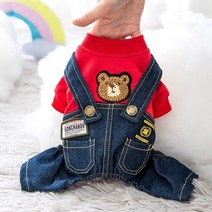 토이푸들 의류 강아지 올인원 마실룩 비숑 스피츠, 빨강 귀여운곰