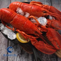 [동이네수산]캐나다현지급냉 프리미엄 자숙랍스터 (마리당 440~500g), 440~500g, 2개