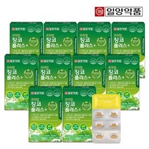 일양약품 프라임 징코 플러스 30정 10박스 10개월분 은행잎추출물, 단품