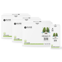 유비무환 정화 기관지 폐 목 좋은 음식 도라지 금은화 환, 75g, 3개