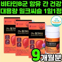 직장인 피로 회복에 좋은 영양제 밀크 시슬 티슬 시스 실리마린 씨유 추천 고함량 비타민B 간이 안좋을때 간 건강 식품 30대 40대 50대 남편 남자 회복제 개선 활력 셀렌 아연, 3박스(9개월분)