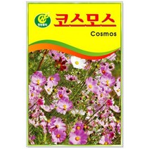 청농 코스모스 꽃씨앗 50립, 1개