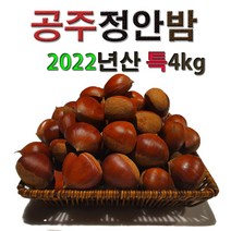 특대4kg 정안알밤 공주밤 정안밤 햇밤 알밤 밤 생율 국내산 옥광 대보 삼조생