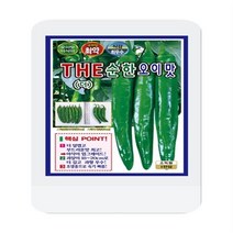 더순한오이맛고추씨 100립 오이맛고추 씨앗 대장 KS종묘