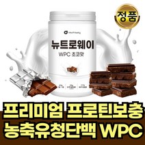 농축 유청 단백질 프로테인 로이신 류신 아르지닌 필수 아미노산 비타민 야채 제로당 초코 WPC 맛있는 프로틴 쉐이크 단백질 파우더 분말 파우다 가루 보충제 여자 여성 남성 근육, 초코맛 1통 (600g)
