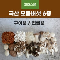 무농약 고급 모듬 버섯 세트 전골용 샤브용 구이용 약1kg 해송이 느타리 팽이 만가닥 황금팽이 표고 새송이 양송이 목이 매운탕소스 추가, 모듬버섯 - 전골 샤브용