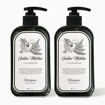 골든매치스 남성용 올인원 샴푸 앤 바디워시 우드그린, 2개, 500ml