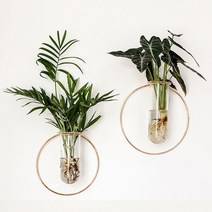 골드 벽걸이화병 행잉플랜트 유리 행잉 수경재배 화병 유리병 테라리움 셀프 인테리어, 정사각형(중)