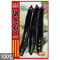 히카마 씨앗 50립 - 히카마씨앗 씨 멕시코감자 얌빈 감자씨앗 감자씨 히카마씨 얌빈씨앗 멕시코감자씨앗, 03_대흑장가지(100립)