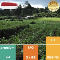 캅카와 생두 인도네시아 만델링 (뉴크롭), 1kg