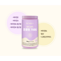 푸름웰니스 김민경 단백질 프로틴 쉐이크 750g, 푸름웰니스 프로틴 1통
