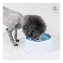 [딩동펫] 강아지 플로팅 급수기, 선택사항:플로팅 급수기_블루, 상세 설명 참조