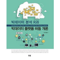 빅데이터분석 R과 빅데이터 플랫폼 하둡 개론, 상품명