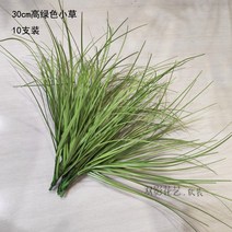 모조풀부지초 금잔디초 부들장식조경세엽초더미풀숲 5번, 10 벌 벌 크 그린 30cm 높이