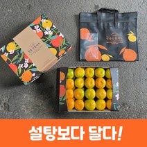 제주 감귤 노지 감귤 제철 제주도 노지귤 2kg 3kg 5kg 가정용, 3kg 중대