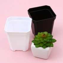 미니 플라스틱 화분 7X8cm 식목일 모종심기 다육이 꽃심기 원예 식물 슬릿, 화이트(b)
