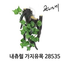 자연과사람 클리오네 내츄럴 가지유목 28535
