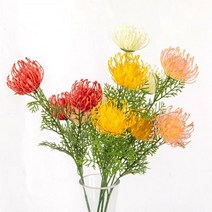 고속터미널꽃시장 핀쿠션 레우코스페르뭄 조화꽃 63cm 옐로우 (WT000151)