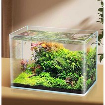아크릴 수족관 중형 거북이 물고기 열대어 키우기, 20x14x16cm 초백색 핫 벤딩