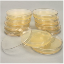 오피스안 LB Agar Plate (+ Ampiciiin) 90mm SN 대장균배양배지 pack 10ea